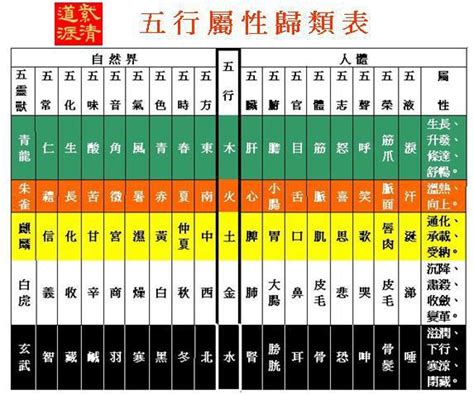 言 五行屬性